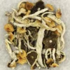 Comprar Cuban Cubensis Cogumelos – Psilocybe Cubensis Premium