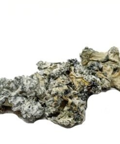 Comprar Enigma Mushrooms – Cogumelos Psilocibinos Premium