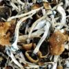 Comprar Golden Emperor Magic Mushrooms – Cogumelos Psicolélicos Premium