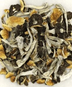 Comprar PES Hawaiian Magic Mushrooms - Alta Potência