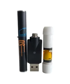 SOMAd DMT Vape Top + Vape Battery Combo – 300mg N,N-Dimetiltriptamina
